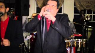 La Elegancia de la Salsa Live Band [upl. by Darnoc172]