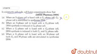 In eukaryotic cell cycle cell fusion experimetns show that [upl. by Lidda436]