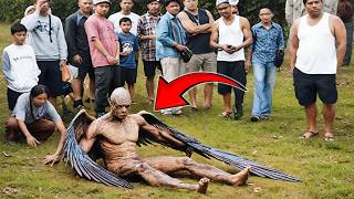 100 Mysterious Creatures Caught on Tape [upl. by Goeselt]