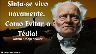 Como Transformar o Tédio em Criatividade 6 Dicas de Schopenhauer [upl. by Dyann]