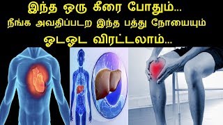 Amazing Health Benefits of Traditional Indian Herbs Punarnava in tamil  Rahul Health tips in Tamil [upl. by Trebloc]