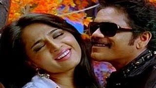 Ragada Songs  Empillo Yapillo  Nagarjuna  Anushka  Priyamani [upl. by Ellehsim]