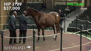 Keeneland Live Feed [upl. by Hsitirb313]