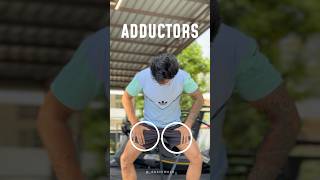 Training Adductors adductors workout [upl. by Nyledam625]