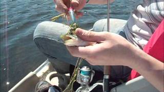 Gone Fishing at Jeptha Lake in Bloomingdale Michigan June 26 2011 [upl. by Ekralc]