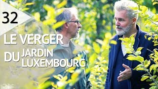 VISITE AU VERGER DU JARDIN DU LUXEMBOURG  EPISODE 32 [upl. by Anaugal]