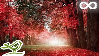 Autumn Colors Beautiful Romantic Music with Piano Cello Guitar amp Violin by Peder B Helland [upl. by Smeaj]