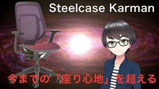 スチールケースカーマン購入レビュー！フォートナイトやってみた！！【オフィスチェアゲーミングチェアメッシュチェアSteelcase Karman】 [upl. by Parrisch]