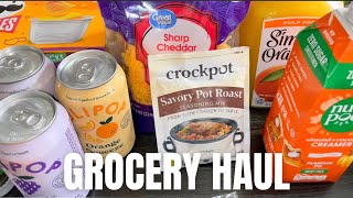 WALMART GROCERY HAUL 2024 [upl. by Akinod654]