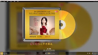 陈佳 【倩影】粤语经典版新12首试听高音质4K画质自制动态字幕 [upl. by Acisey]