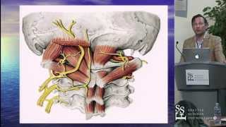 An Anatomical Tour of the Craniocervical Junction [upl. by Tilford199]