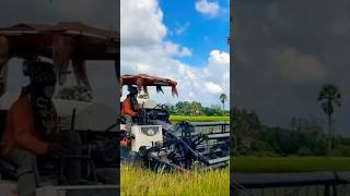 DC108X🚜🌾🌾🌾🌾🌾 kubota agriculture agriculturefarming nature farming subscribe dc105x [upl. by Jenks]