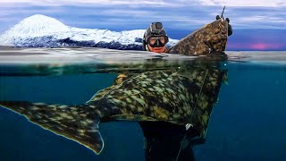 Spearfishing Giant Atlantic Halibut in the FREEZING Arctic [upl. by Abbot671]