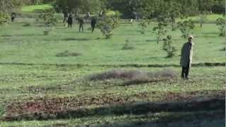 Chasse Traditionnelle avec les lévriers Sloughis au Maroc Mp4 [upl. by Eibber522]