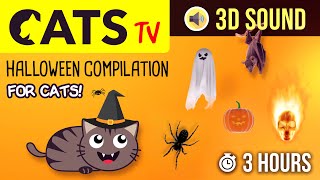 CATS TV  Halloween Compilation 🎃 Games for cats 🙀 3 HOURS [upl. by Eicak397]