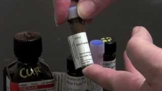 Staining Your Sample [upl. by Rodney]