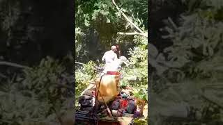 Campesinos arreglan camino de Vallecitos a Coyuca de Catalán pues no tienen apoyo Vid David Rosas [upl. by Mllly720]