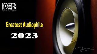 Greatest Audiophile Collection 2023  Best Voices amp Instrument  Audiophile NBR Music [upl. by Lsil]