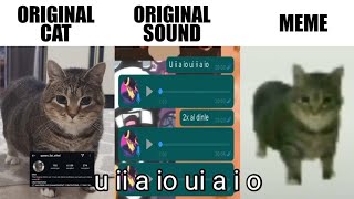 u ii a io ui a i o Original vs Meme Brainrot cat [upl. by Olsen]