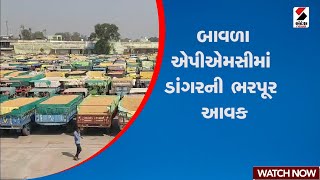 બાવળા એપીએમસીમાં ડાંગરની ભરપૂર આવક  Bavla  Ahmedabad  Marketing Yard  Farmers  Gujarat [upl. by Adner]