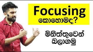 Focusing බලාගන්න නියම ක්‍රමයක් I අරුණ පල්ලේකුඹුර [upl. by Airbas]