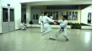 Kumite full contact Shorin Ryu Karate [upl. by Aidni]