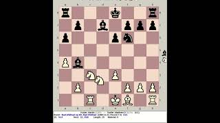 Huber Martin vs Sadler Matthew D  Bad Wildbad Chess Open 6th 1990 Germany [upl. by Ronny]