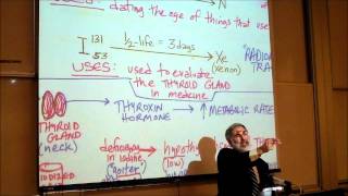 BIOLOGY INTRO TO CHEMISTRY PART 2 by Professor Fink [upl. by Bartholemy566]