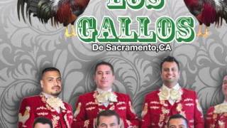 Mariachi Los Gallos  La Vida Del Hombre [upl. by Leary798]