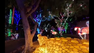 Cruise through Phoenix ZooLights this holiday season [upl. by Anitniuq]