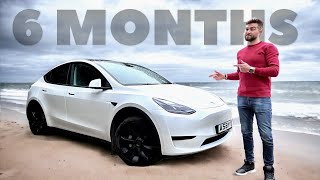 Tesla Model Y Review 6 Months Later  A BIG REGRET [upl. by Oivlis482]