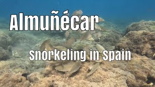 Snorkeling in Almunecar there is something to see [upl. by Jillayne]