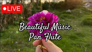 Beautiful Músic PanFlute relaxingmusic [upl. by Abie]