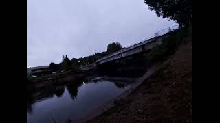 Floating eggs for coho on the Duwamish [upl. by Eirolam]