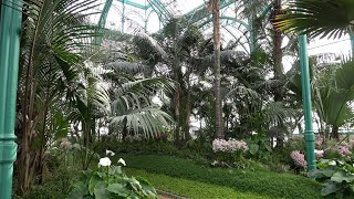 The Royal Greenhouses of Laeken Congo Greenhouse [upl. by Aleibarg]