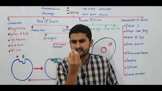 Ch 3 Lec1 Enzyme Introduction Fsc Part1 Ch3 UrduHindi lecture MDCAT NEET NCERT Pre By M Bilal [upl. by Adnolehs]