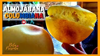 COMO hacer ALMOJABANAS COLOMBIANAS 🥟 RECETA de ALMOJABANAS [upl. by Silrak]