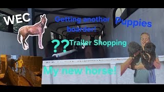 My New Horse Looking at puppies and horse trailers Traveling Bringing 2 New Horses home fun WEC [upl. by Newcomer]