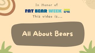 Fat Bear Week 2024  quotAll About Bearsquot [upl. by Mcilroy575]