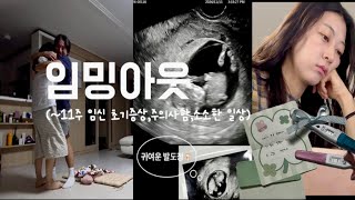 임신Vlog 👼🏻감동의 가족절친남편 임밍아웃11주 임신초기 증상주의점임신 선물 [upl. by Epotimet624]