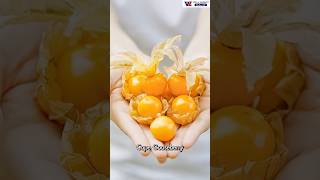 🌟 Discover the unique taste of Cape Gooseberry 🌟 [upl. by Kenna81]