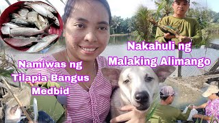 Namiwas Kami ng Isda sa fishpond Vlog483 [upl. by Lohrman]