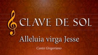 Alleluia virga Jesse  Arautos do Evangelho [upl. by Stalk439]