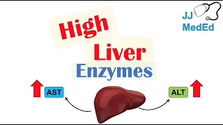 High Liver Enzymes  Aspartate vs Alanine Aminotransferase AST vs ALT  Causes [upl. by Awe775]