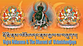 ☸Vajra Vidarana amp The Dharani of Ushnishavijayaརྡོ་རྗེ་རྣམ་འཇོམསདང་རྣམ་རྒྱལ་མ་བཞུགས། Daily Chant [upl. by Faso]