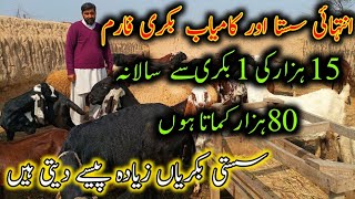 How To Start Goat Farming in Low Investment in Pakistan Goat Farming Business In Pakistan Bkra [upl. by Darbee]