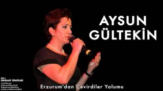 Aysun Gültekin  Erzurumdan Çevirdiler Yolumu [upl. by Bocaj]