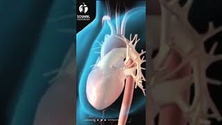 Comprendre lArtère Pulmonaire  Clé de la Santé Cardio Respiratoire 🔐❤️ [upl. by Levinson]