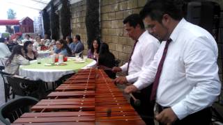 MARIMBA EN COYOACAN 5511291032 [upl. by Latif]