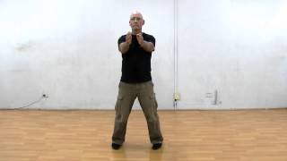 Wing Chun  Chum Kiu Form [upl. by Viridissa]